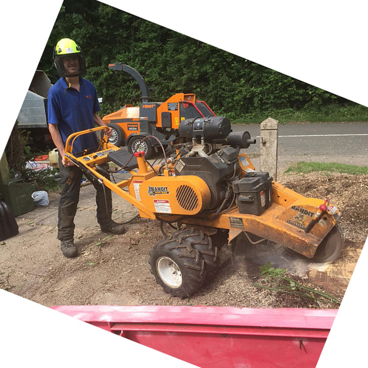 Stump Grinding Hinckley, Leicestershire, Warwickshire