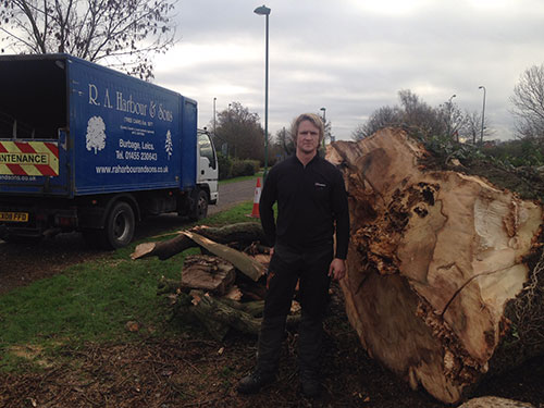 Your Local Hinckley Tree Surgeons